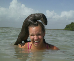 Stephanie Wenclawski ’16 rehabilitating a river otter during her internship at Wildtracks in Sarteneja, Belize.