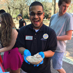 College of Sciences ambassador Evan Brooks '18 holding an adult brain during NC State's Sciences Scircus - Spring 2016