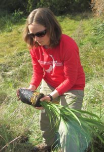 Alex Loflin '17 planting flax in a native bush restoration project area in New Zealand – Summer 2014
