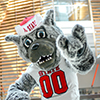 Mr. Wuf shows his school spirit at Talley Student Union. Photo by Marc Hall
