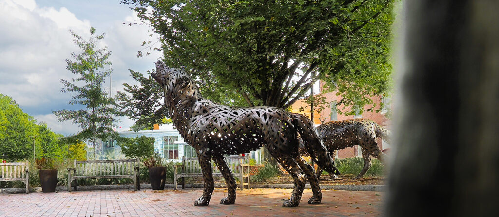 Copper wolves of Wolf Plaza. Photo by Marc Hall