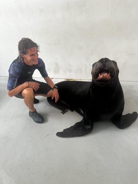 Sam with a seal 